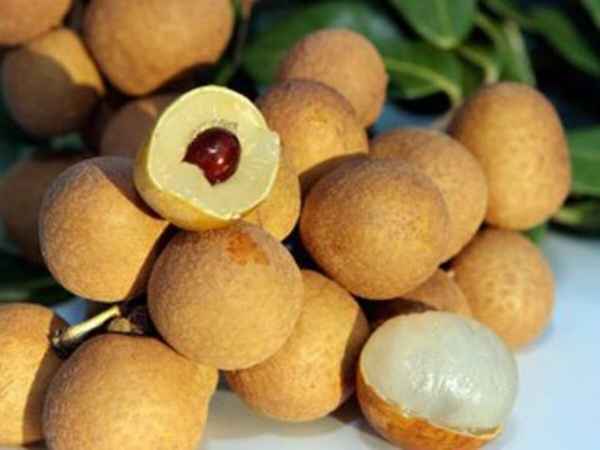 Nằm mơ thấy quả nhãn nên chọn số gì