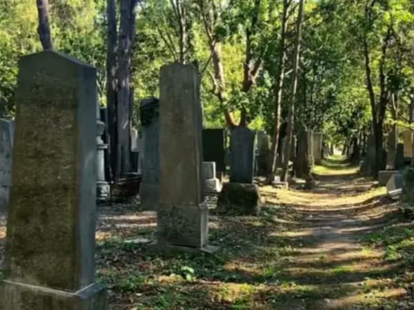 Nằm mơ thấy bốc mộ chọn số gì