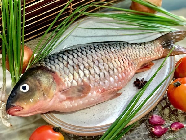 Tổng hợp ý nghĩa giấc mơ thấy cá chép đánh con gì may?