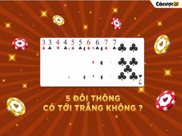 5 đôi thông có tới trắng không 5 đôi thông có tới trắng không