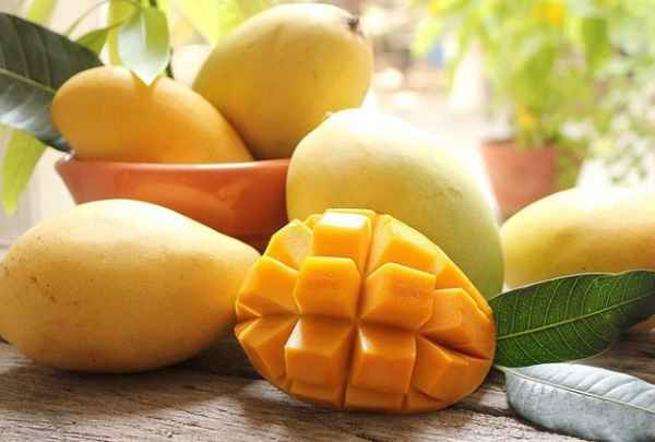mơ thấy quả xoài