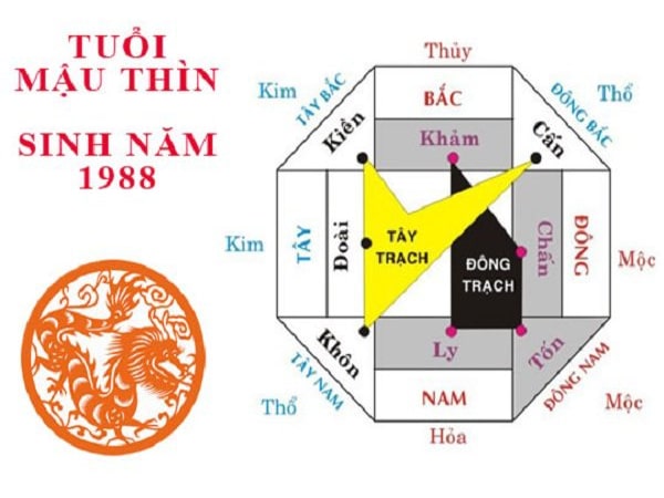 1988 hợp hướng nào? Tìm hiểu về hướng nhà hợp tuổi Thìn 1988
