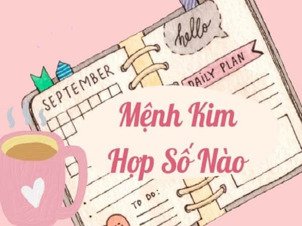 Mệnh kim hợp số nào