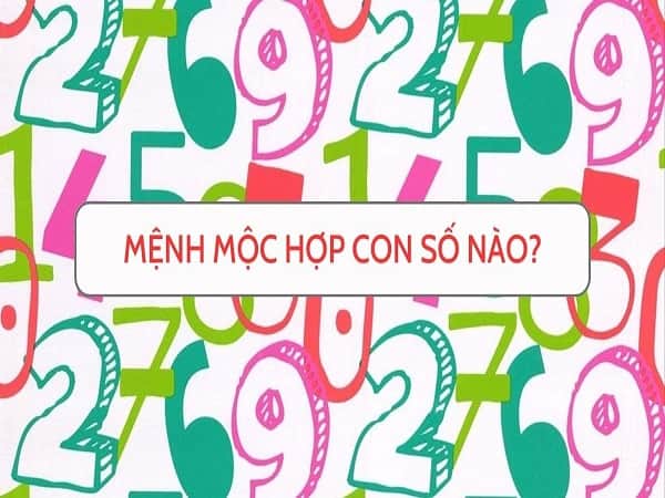 Mệnh Mộc hợp số nào để chọn sim phong thủy