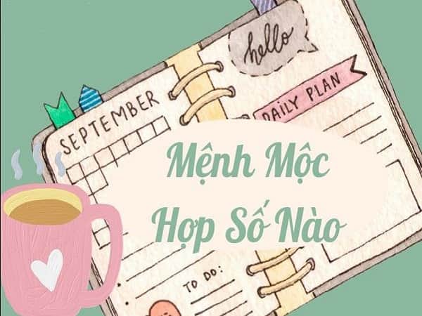 Mệnh Mộc hợp số nào?