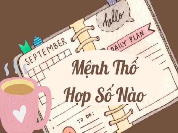 Mệnh Thổ hợp số nào