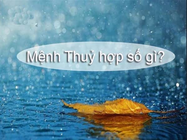 Mệnh Thủy hợp số mấy