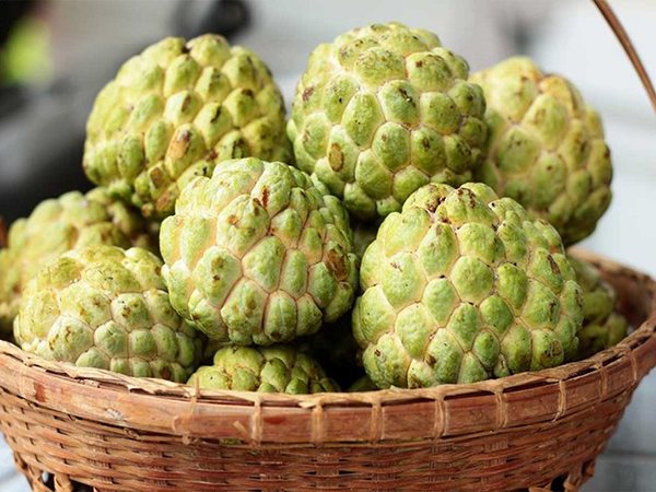 Mơ thấy quả na đánh số mấy đổi đời, dự báo điềm gì?