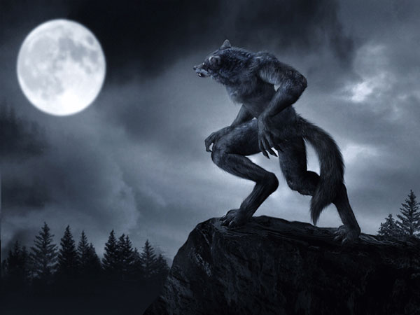 Mơ thấy ma sói may hay rủi đánh con gì giải xui cho bản thân?