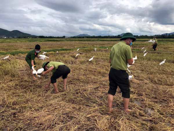 Nhìn thấy bắt chim mua vé số con gì may mắn