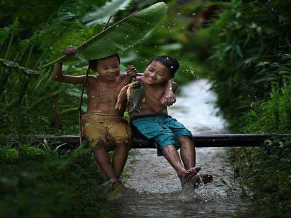 Tiết Hạ chí là gì?