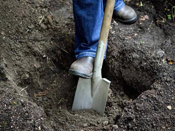 Đi tìm con số may mắn khi thấy cái xẻng