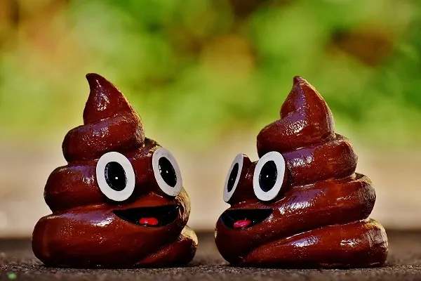 Nhìn thấy cứt là dấu hiệu gì cho cuộc sống của bạn?
