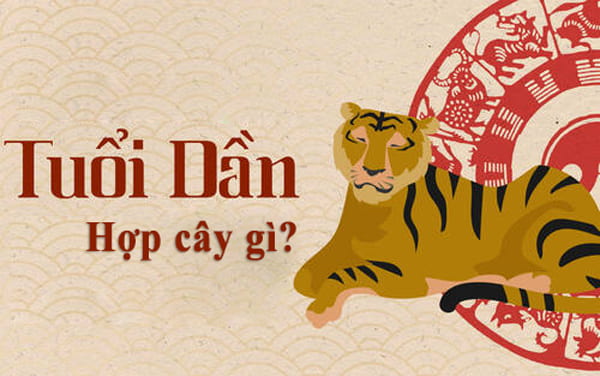 Đôi nét về tuổi Nhâm Dần Đôi nét về tuổi Nhâm Dần