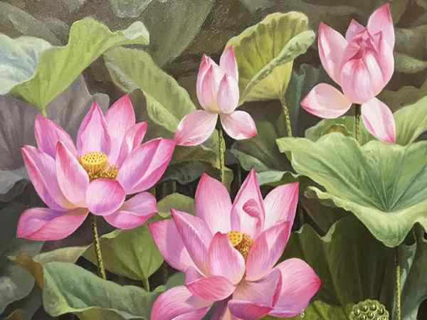 Tranh hoa sen Tranh hoa sen