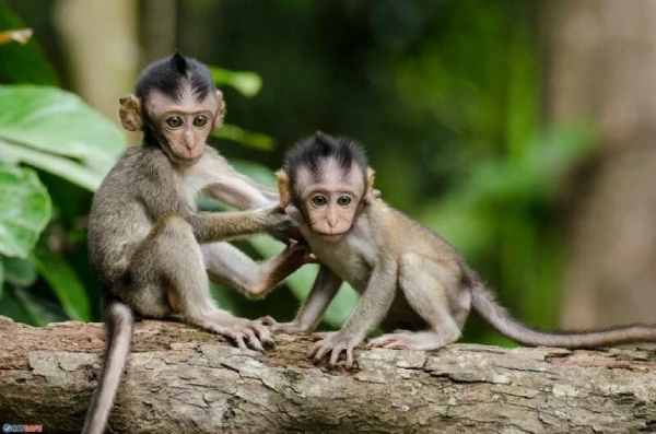 Con số đẹp tuổi Mậu Thân 18/5/2025 mở cửa thịnh vượng