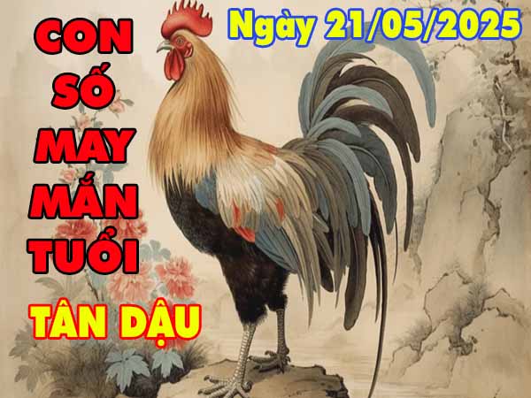 Cặp số tài lộc tuổi Tân Dậu ngày 21/5/2025 thứ 4 hôm nay