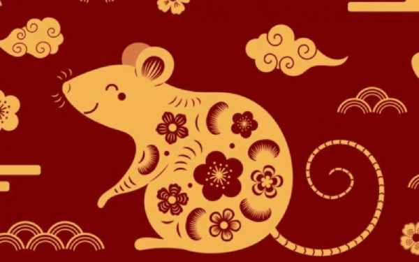 tuổi giáp tý