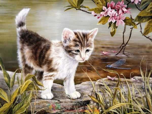 Dự đoán con số may mắn tuổi Mão ngày 19/5/2025 theo tình huống trong công việc