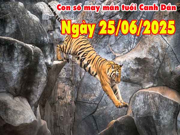 Con số tài lộc tuổi Canh Dần ngày 25/6/2025 thứ 4 hôm nay