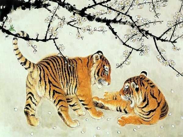 Tử vi tuổi Dần 20/8/2025, số đẹp tuổi Sửu hôm nay