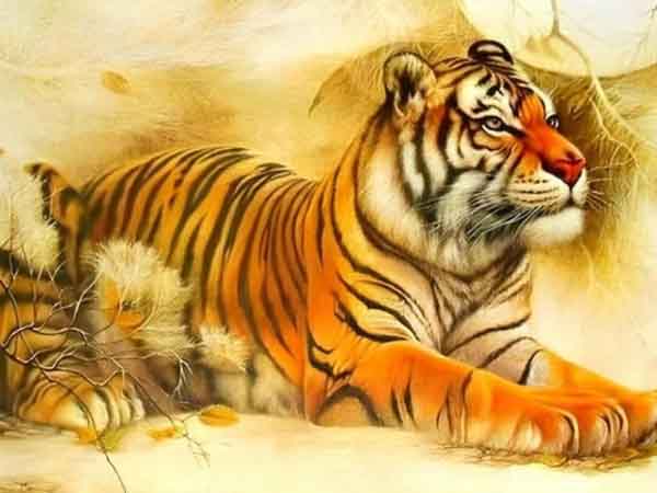 Tổng quan về người tuổi Bính Dần ngày 12/10/2025 chủ nhật hôm nay
