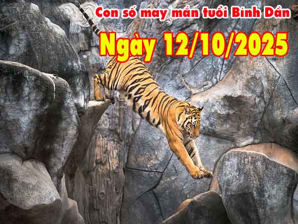 Con số tài lộc tuổi Bính Dần ngày 12/10/2025 chủ nhật hôm nay
